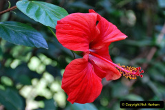 257.2023-12-12-Canary-Islands-11.-Les-Palmas-Gran-Canaria.-257-