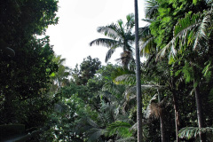 261.2023-12-12-Canary-Islands-11.-Les-Palmas-Gran-Canaria.-261-