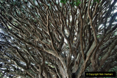 262.2023-12-12-Canary-Islands-11.-Les-Palmas-Gran-Canaria.-262-