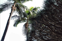 263.2023-12-12-Canary-Islands-11.-Les-Palmas-Gran-Canaria.-263-