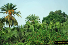 267.2023-12-12-Canary-Islands-11.-Les-Palmas-Gran-Canaria.-267-