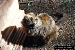 274.2023-12-12-Canary-Islands-11.-Les-Palmas-Gran-Canaria.-274-