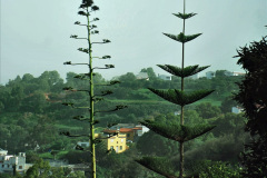 285.2023-12-12-Canary-Islands-11.-Les-Palmas-Gran-Canaria.-285-