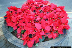 302.2023-12-12-Canary-Islands-11.-Les-Palmas-Gran-Canaria.-302-
