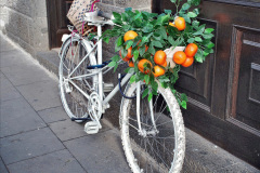 310.2023-12-12-Canary-Islands-11.-Les-Palmas-Gran-Canaria.-310-