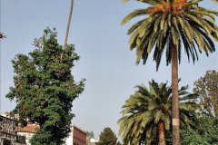 314.2023-12-12-Canary-Islands-11.-Les-Palmas-Gran-Canaria.-314-