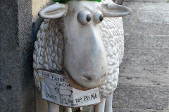 316.2023-12-12-Canary-Islands-11.-Les-Palmas-Gran-Canaria.-316-