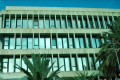 021.2023-12-11-Canary-Islands-11.-Santa-Cruz-Tenerife.-21-