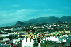 035.2023-12-11-Canary-Islands-11.-Santa-Cruz-Tenerife.-35-