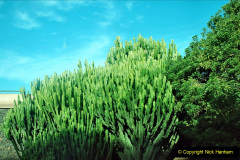 036.2023-12-11-Canary-Islands-11.-Santa-Cruz-Tenerife.-36-