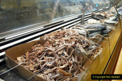 051.2023-12-11-Canary-Islands-11.-Santa-Cruz-Tenerife.-51-