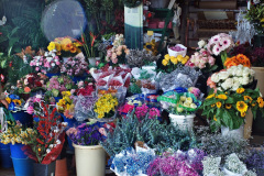 091.2023-12-11-Canary-Islands-11.-Santa-Cruz-Tenerife.-91-