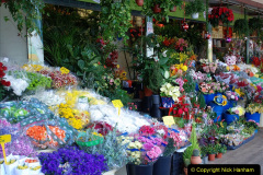 093.2023-12-11-Canary-Islands-11.-Santa-Cruz-Tenerife.-93-