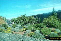 103.2023-12-11-Canary-Islands-11.-Santa-Cruz-Tenerife.-103-