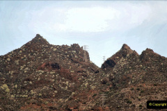 169.2023-12-11-Canary-Islands-11.-Santa-Cruz-Tenerife.-169-