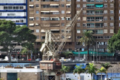 178.2023-12-11-Canary-Islands-11.-Santa-Cruz-Tenerife.-178-