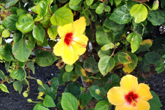 039.2023-12-13-Canary-Islands-12.-Arrecife-Lazarote.-39-