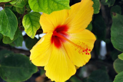 040.2023-12-13-Canary-Islands-12.-Arrecife-Lazarote.-40-