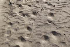 079.2023-12-13-Canary-Islands-12.-Arrecife-Lazarote.-79-