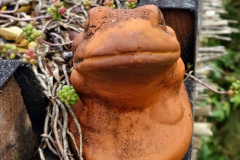 010.2023-02-05-APoole-Winter-Garden.-10-