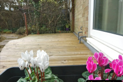 018.2023-02-05-APoole-Winter-Garden.-18-