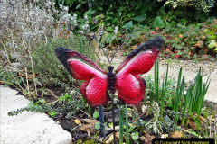 032.2023-02-05-APoole-Winter-Garden.-32-
