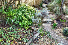 041.2023-02-05-APoole-Winter-Garden.-41-