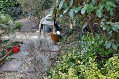 051.2023-02-05-APoole-Winter-Garden.-51-