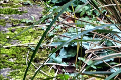 054.2023-02-05-APoole-Winter-Garden.-54-
