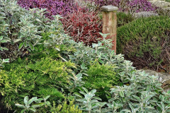 056.2023-02-05-APoole-Winter-Garden.-56-