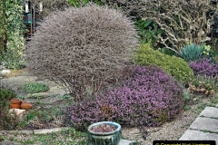 057.2023-02-05-APoole-Winter-Garden.-57-