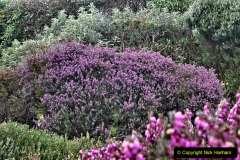 066.2023-02-05-APoole-Winter-Garden.-66-