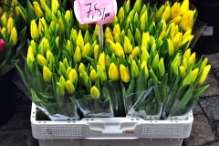 070.2023-02-10-Euro-Holiday-Antwerp.-No.3-70-