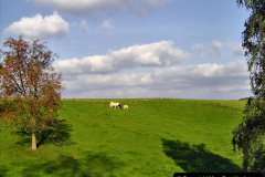 017.2023-02-13-Euro-Holiday-Flanders-Scenic-Drive.-No.6A-17