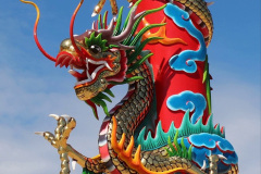 040.2023-021-26-China-Dragon-Boat-Festival.-40-