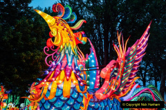 008.2023-02-26-The-China-Lantern-festival.-8-