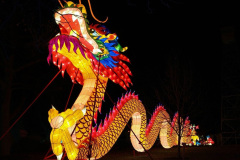 063.2023-02-26-The-China-Lantern-festival.-63-