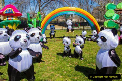 082.2023-02-26-The-China-Lantern-festival.-82-