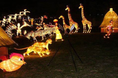 086.2023-02-26-The-China-Lantern-festival.-86-