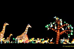 129.2023-02-26-The-China-Lantern-festival.-129-