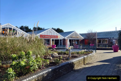 001.2023-02-27-28-New-Forest-Overnight-Stay.-1-Stewarts-Garden-Centre-Christchurch.-