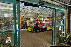 011.2023-02-27-28-New-Forest-Overnight-Stay.-11-Stewarts-Garden-Centre-Christchurch.-