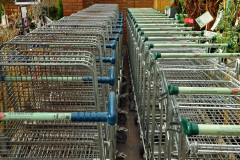 012.2023-02-27-28-New-Forest-Overnight-Stay.-12-Stewarts-Garden-Centre-Christchurch.-