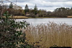 027.2023-02-27-28-New-Forest-Overnight-Stay.-27-Beaulieu.-