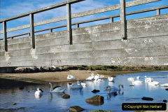 123.2023-02-27-28-New-Forest-Overnight-Stay.-123-Key-Haven.-