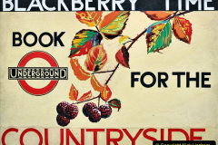 063.2023-London-Transport-Underground-160-Years.-63-