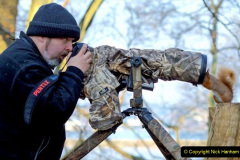 025.2023-January-25-UK-Red-Squirrels-plus-Brownsea-Island-IOW.-25-