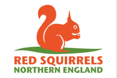 079.2023-January-25-UK-Red-Squirrels-plus-Brownsea-Island-IOW.-79-