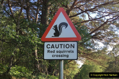091.2023-January-25-UK-Red-Squirrels-plus-Brownsea-Island-IOW.-91-