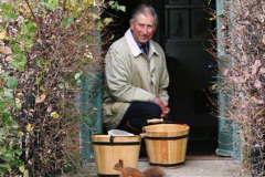 094.2023-January-25-UK-Red-Squirrels-plus-Brownsea-Island-IOW.-94-